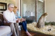 Allhomes Homepage Photography Competition: Win a night's stay at Jamala Wildlife Lodge!