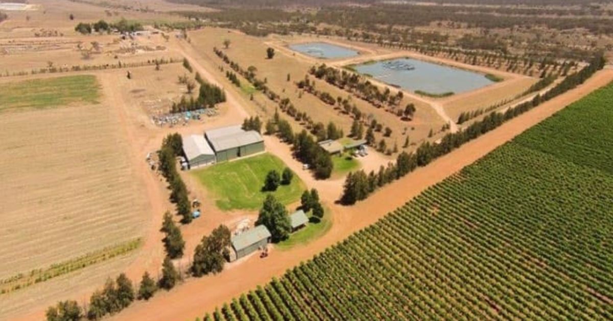 Beasley family to sell giant Sunraysia agribusiness operation