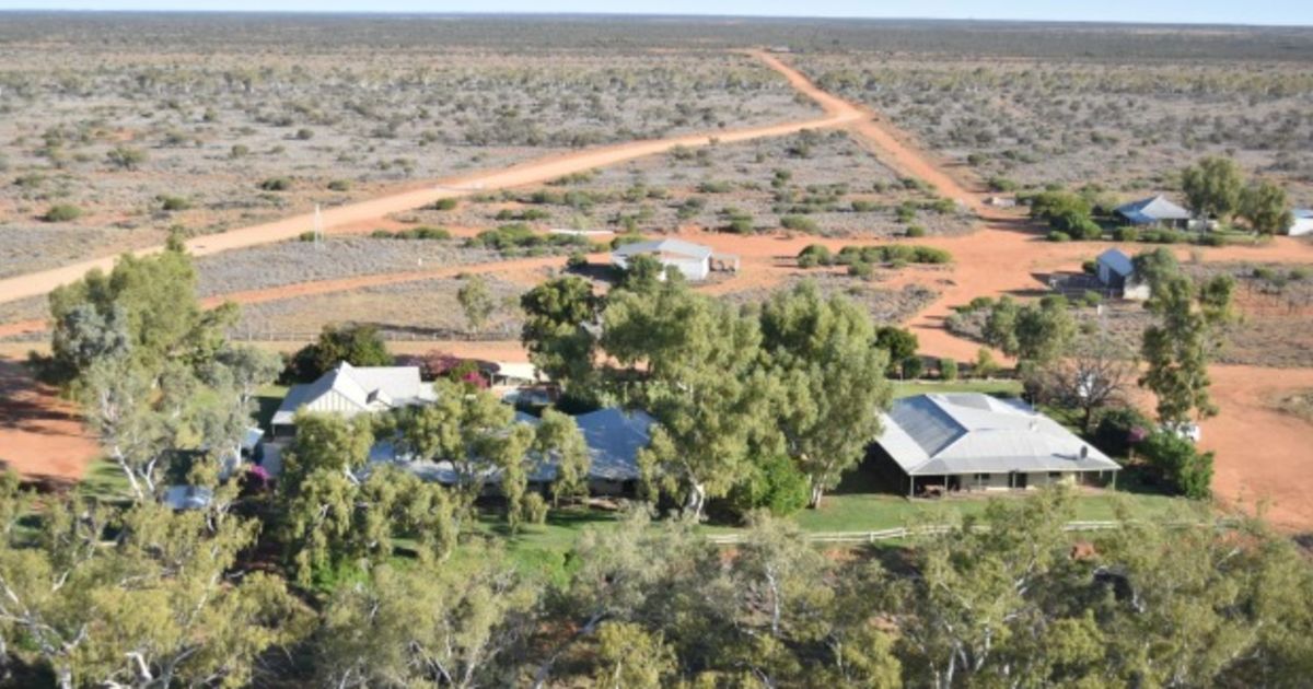 McTaggart family to sell Bidgemia cattle station after 70 years