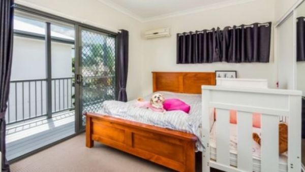 The Queensland dog who stars in real estate photos, sells property