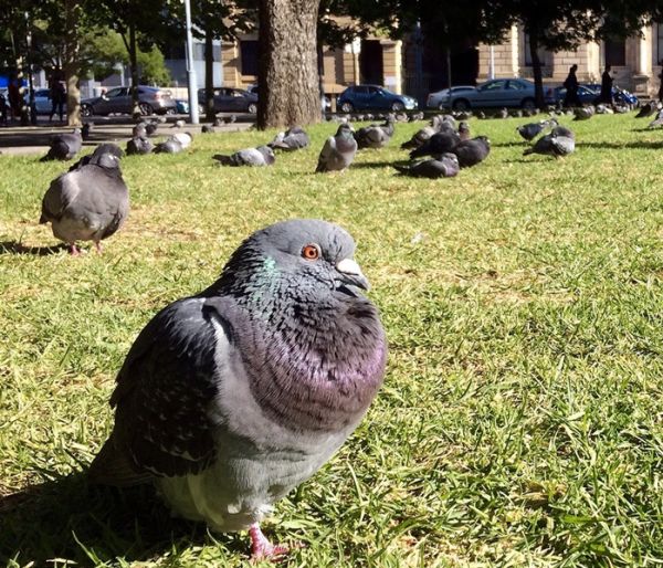 Reducing stress at work is a walk in the park