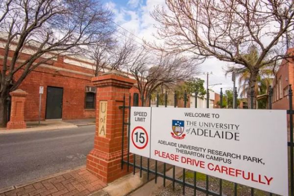 University of Adelaide campus for sale as four