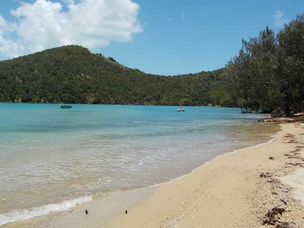 Secluded St Bees island for sale in Queensland - koalas included