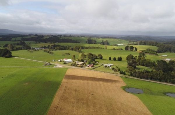 Tassie dairies tipped to fetch $30m