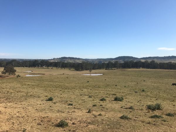 Catholic Church leads land grab in Wilton with $17 million deal