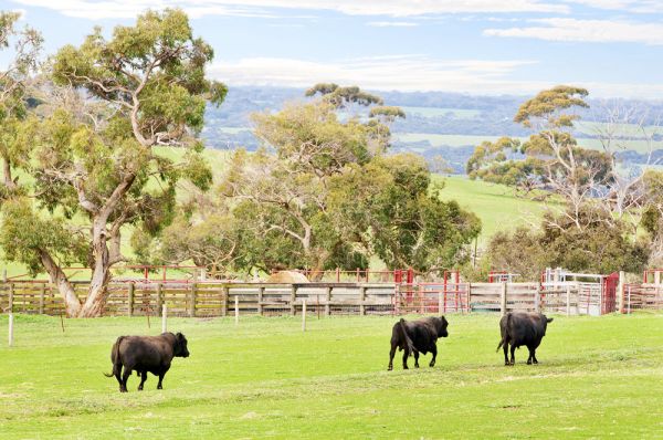 Kerry Stokes sells Kangaroo Island aggregation to Angus Taylor