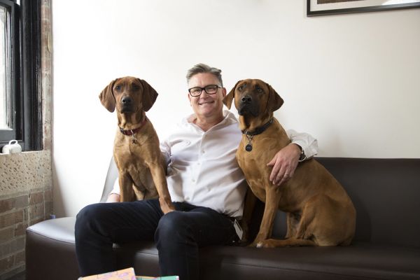Why bringing a dog to work might be good for business