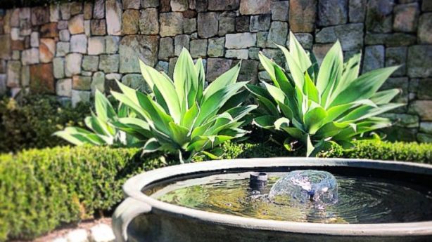 The Trick To Keeping Your Water Feature Clean A Water Feature Requires Maintenance But Is Real Garden Et Photo Jason Hodges