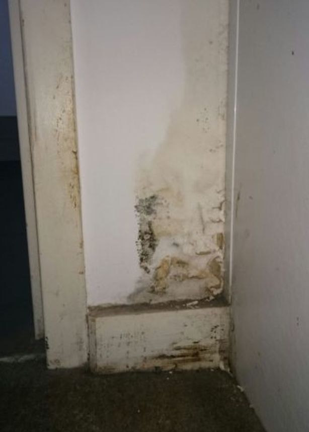Lyn Pearce's doctor is concerned about the mould spores in her apartment in Erskineville's Star Printery building. Photo: Lyn Pearce
