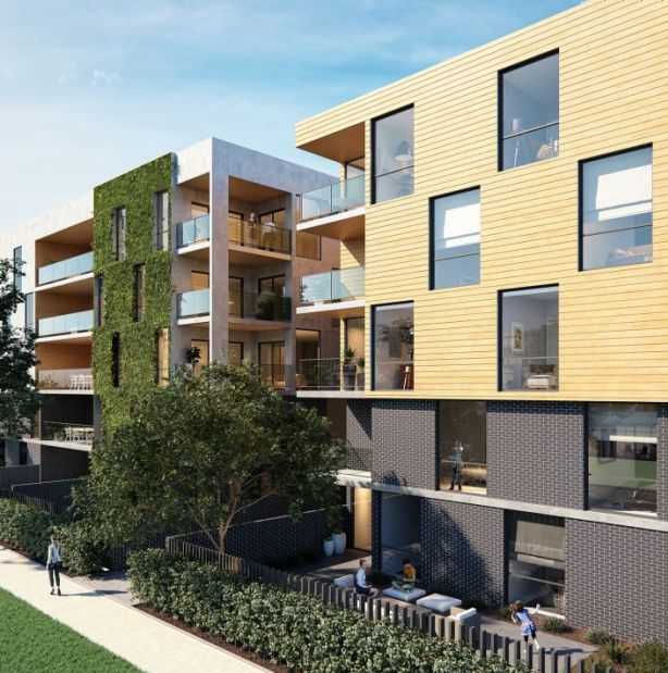 Banksii, Macquarie. Photo: Supplied