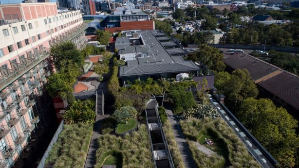 The City of Sydney has a green roofs and walls policy, as illustrated by M Central in Pyrmont. Photo: Wolter Peeters