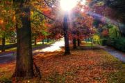 Season of colour and confidence in property market