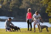 Lilyfield: The inner-west Sydney suburb luring families from the north shore