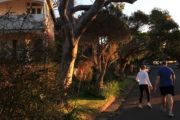 Vaucluse: Prestigious Sydney suburb opens up to a new, younger demographic