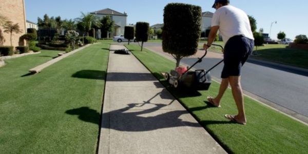 Love Your Garden Edging
