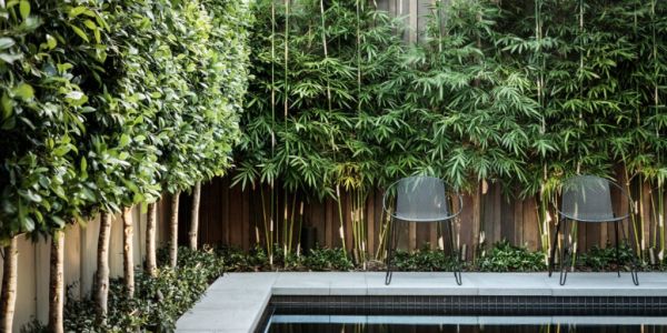 Confessions Of A Landscape Architect Three Things I Wish My
