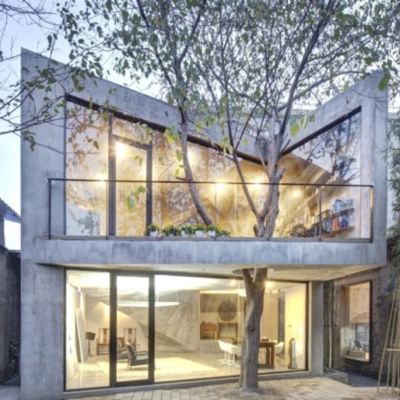 Eight amazing houses built around trees