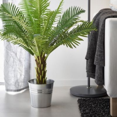Why you should embrace fake plants