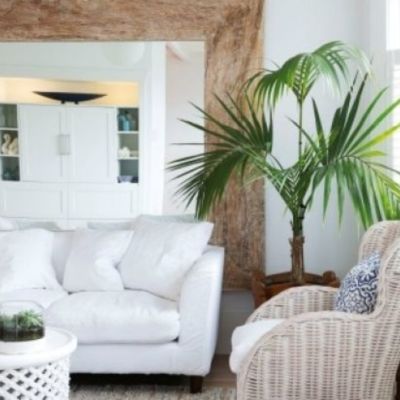 Creative ways to style indoor plants in your home