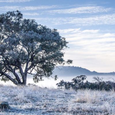 Macarthur: Is this suburb Tuggeranong's best-kept secret?