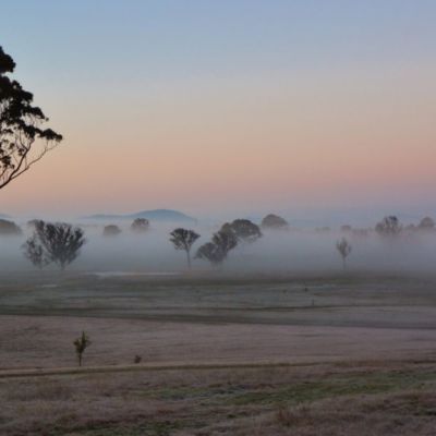 Forde: Did you know one of Canberra's greenest suburbs is in Gungahlin?