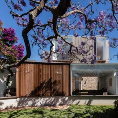 How a jacaranda tree inspired an epic home renovation