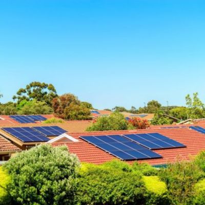 Greens calls for cheap solar