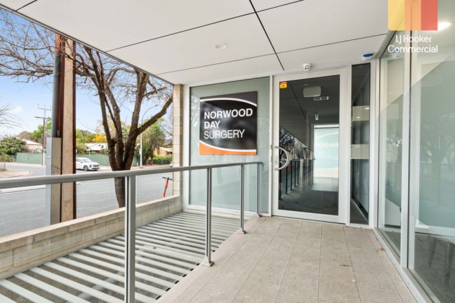 42 Nelson Street, Stepney SA 5069