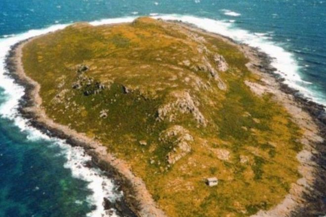 . Ninth Island, Bridport TAS 7262