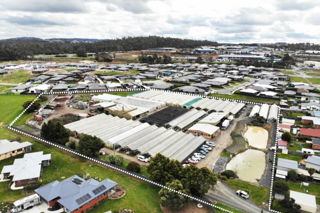 77 Victoria Street, Youngtown TAS 7249