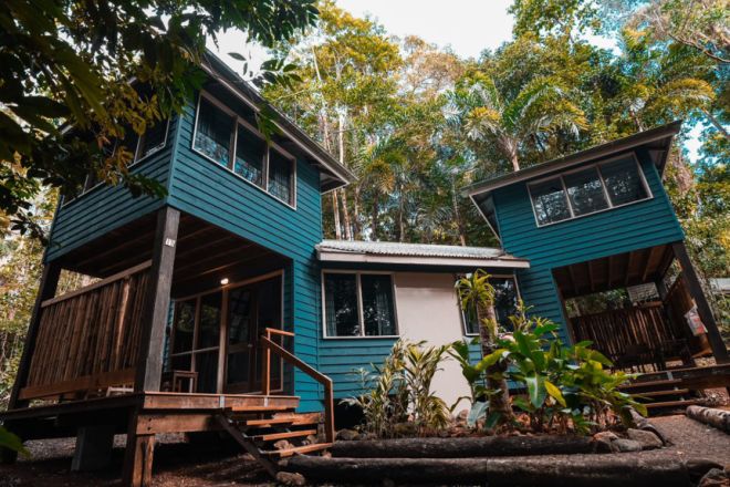 Cape Tribulation QLD 4873