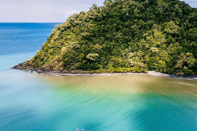 Cape Tribulation QLD 4873
