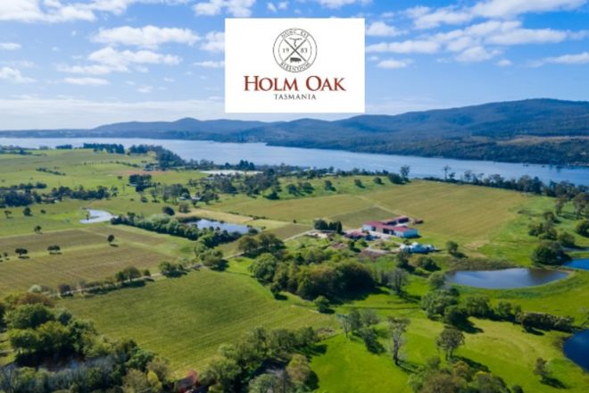 11 West Bay Road, Rowella TAS 7270