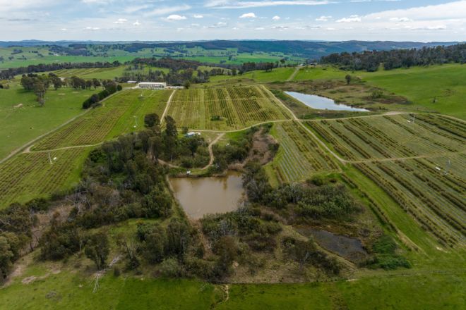 134 Taradale Road, Courabyra NSW 2653