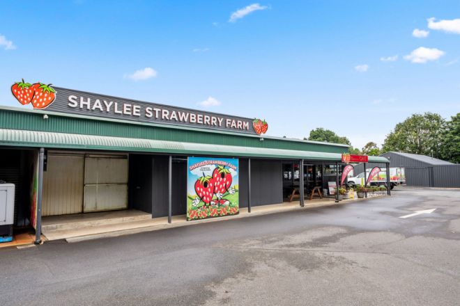 255 Marks Lane, Atherton QLD 4883