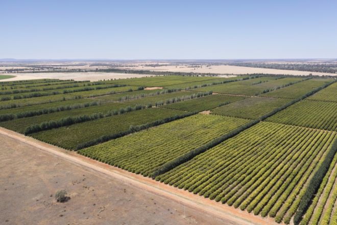 Rosemont & Talinga Park 11847 Kidman Way, Hillston NSW 2675