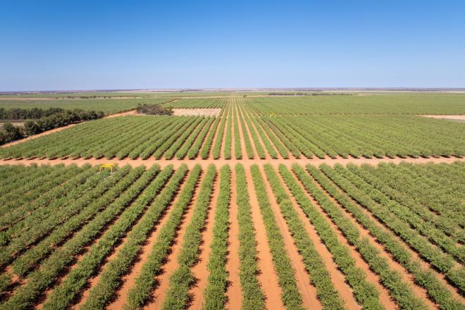 995 Millewa Road, Koorlong VIC 3501