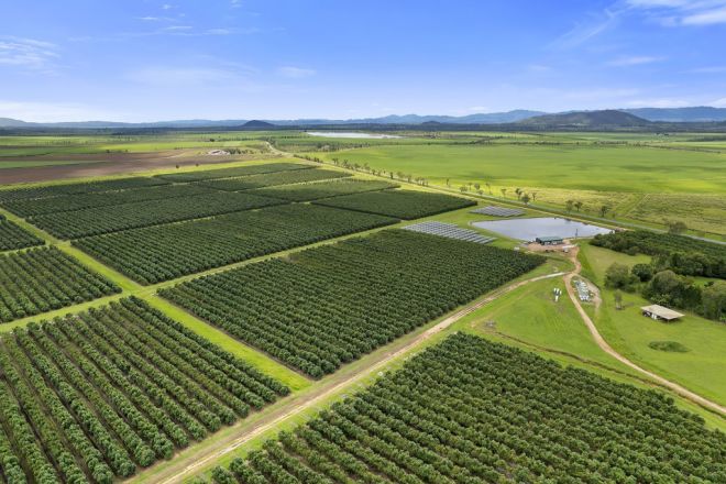 Mareeba Dimbulah Road, Arriga QLD 4880