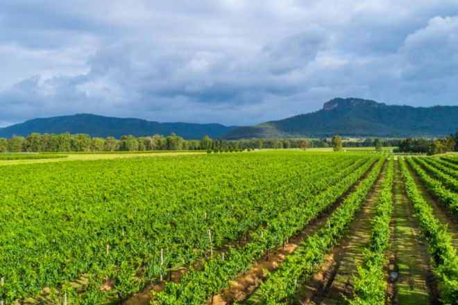 Nightingale Wines 1239 Milbrodale Road, Broke NSW 2330