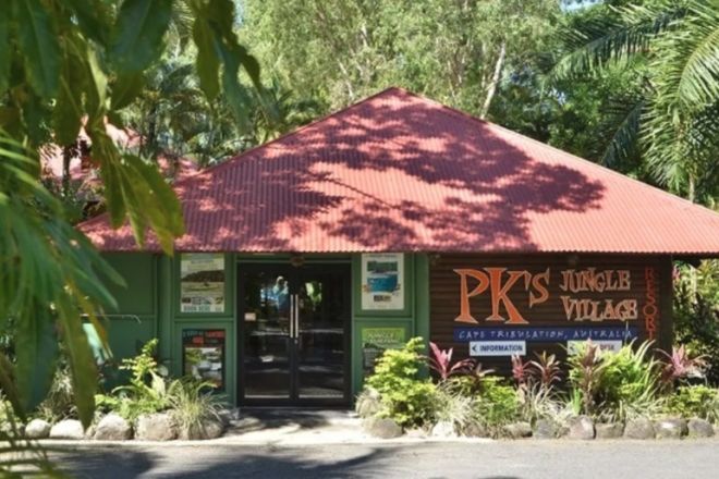 3910 Cape Tribulation Road, Cape Tribulation QLD 4873