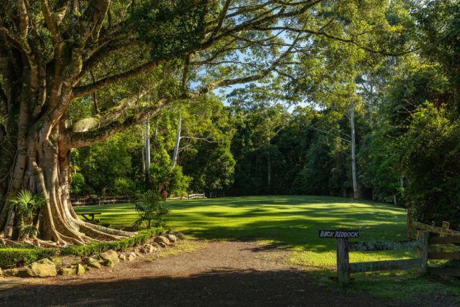 115 Herivels Road, Wootton NSW 2423