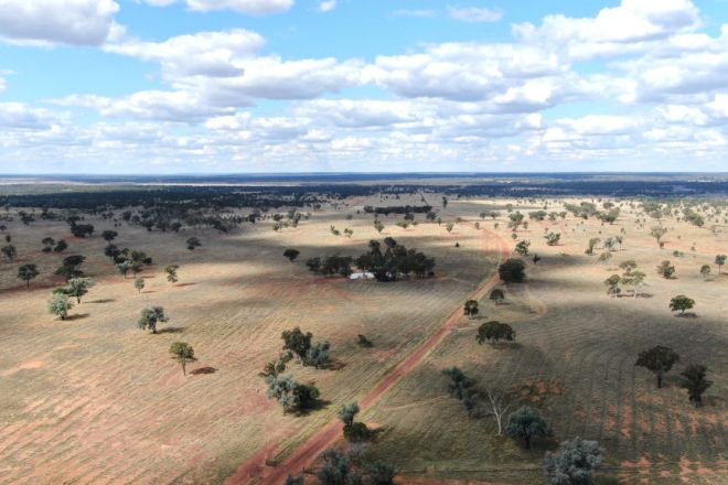 5812 Bollon Road, Mungallala South QLD 4467