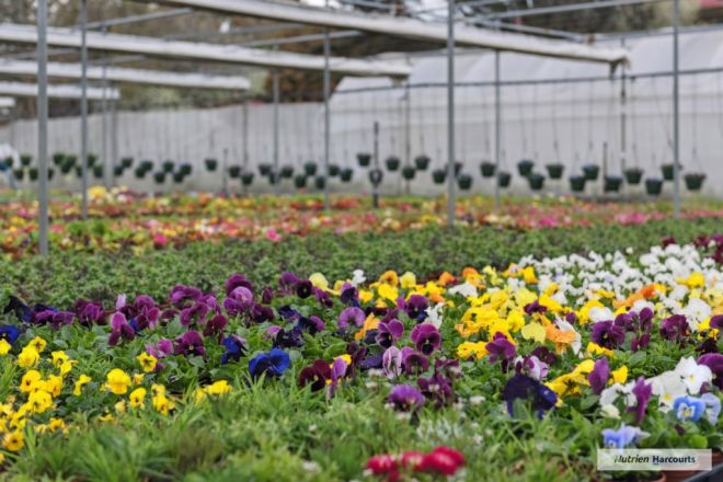 5A Rail Street, Wandong VIC 3758