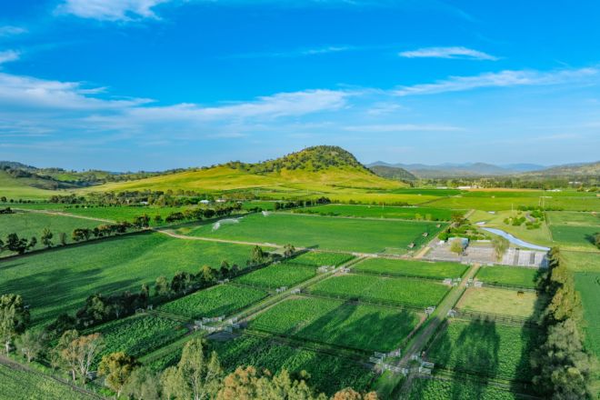 101 Segenhoe Road, Segenhoe NSW 2337