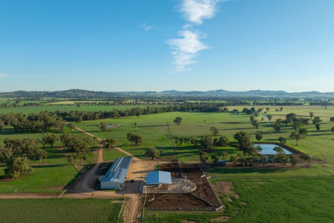 1948 Coach Road, Morven NSW 2660