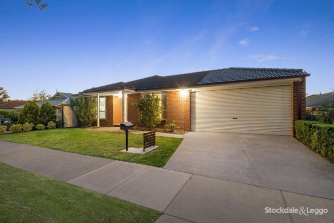 17 Arlene Drive, Skye VIC 3977