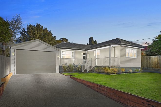 6 Sunray Avenue, Cheltenham VIC 3192