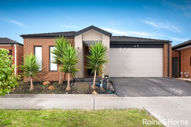 13 Loudon Circuit, Craigieburn VIC 3064