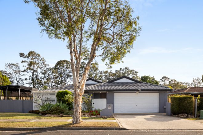 11 College Way, Boondall QLD 4034