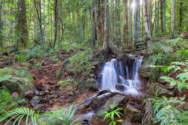 43 Justin Avenue, Tamborine Mountain QLD 4272